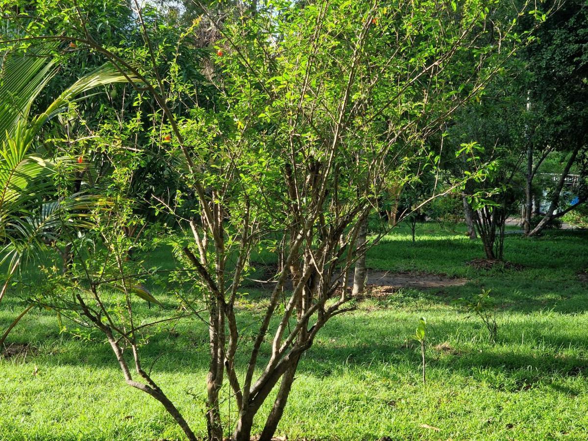 Sigiriya Cottage Eksteriør bilde