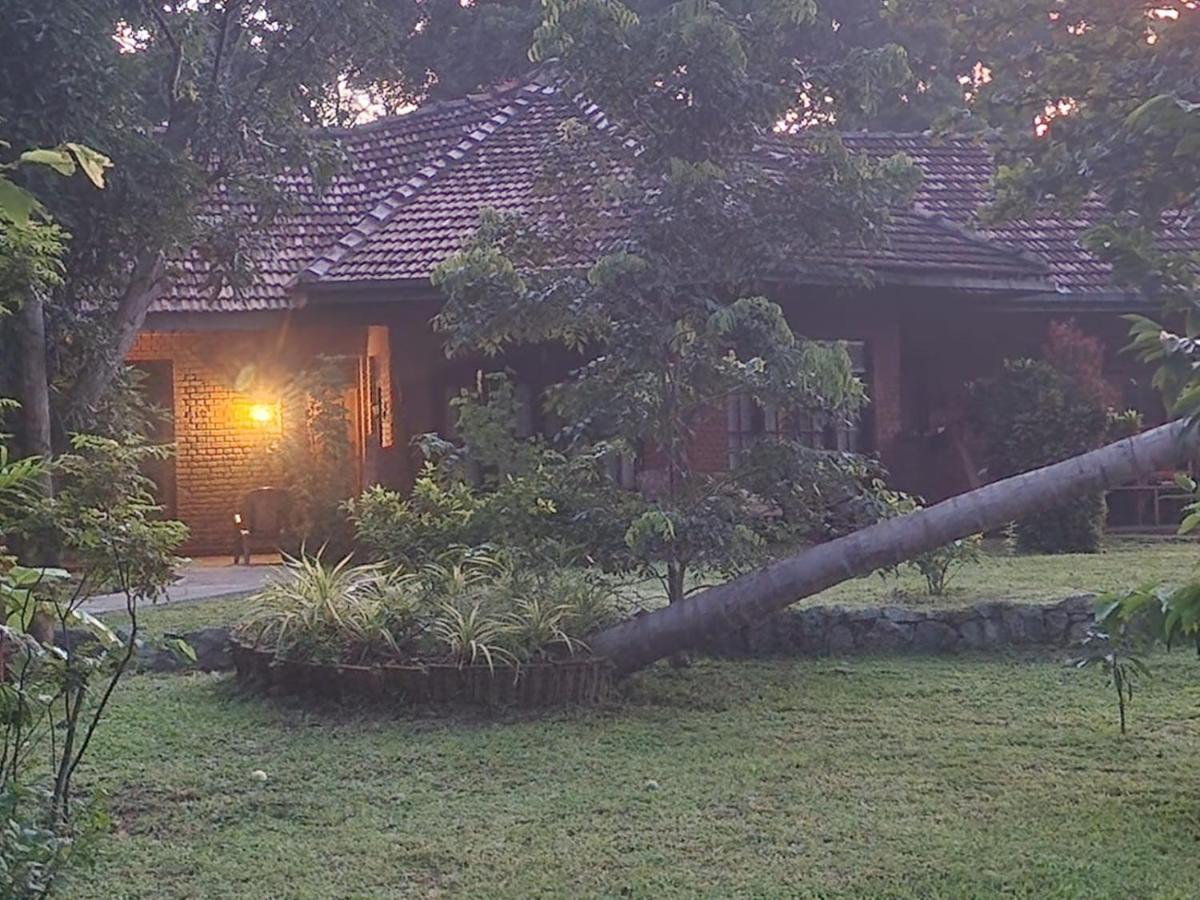 Sigiriya Cottage Eksteriør bilde