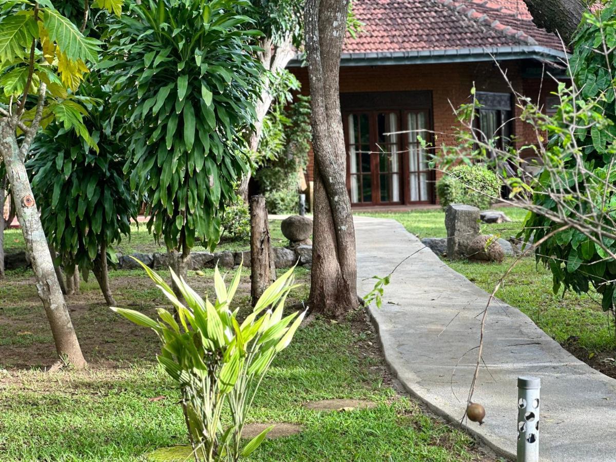 Sigiriya Cottage Eksteriør bilde