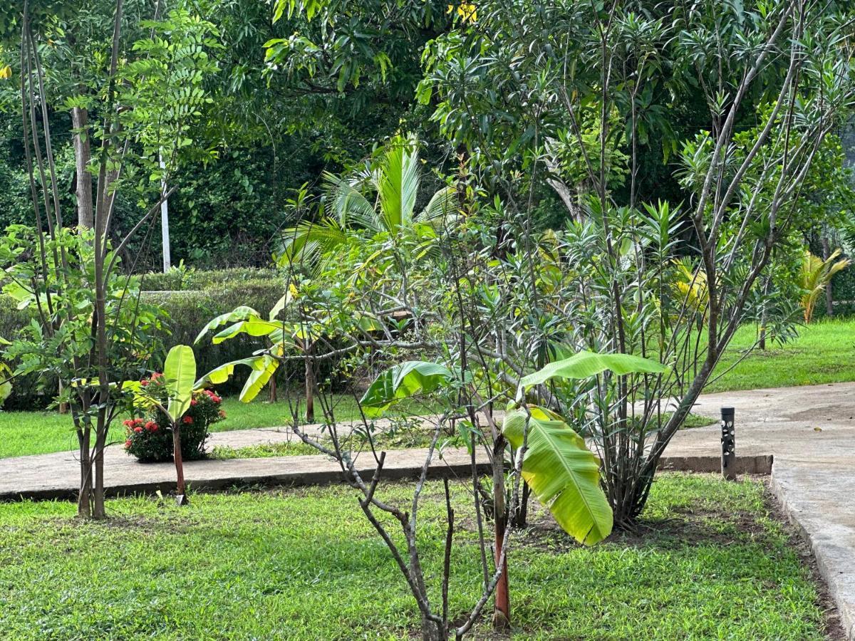 Sigiriya Cottage Eksteriør bilde