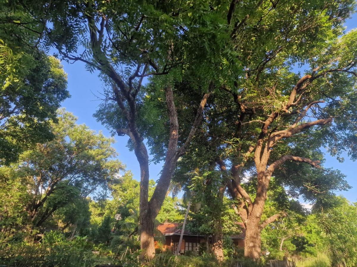 Sigiriya Cottage Eksteriør bilde