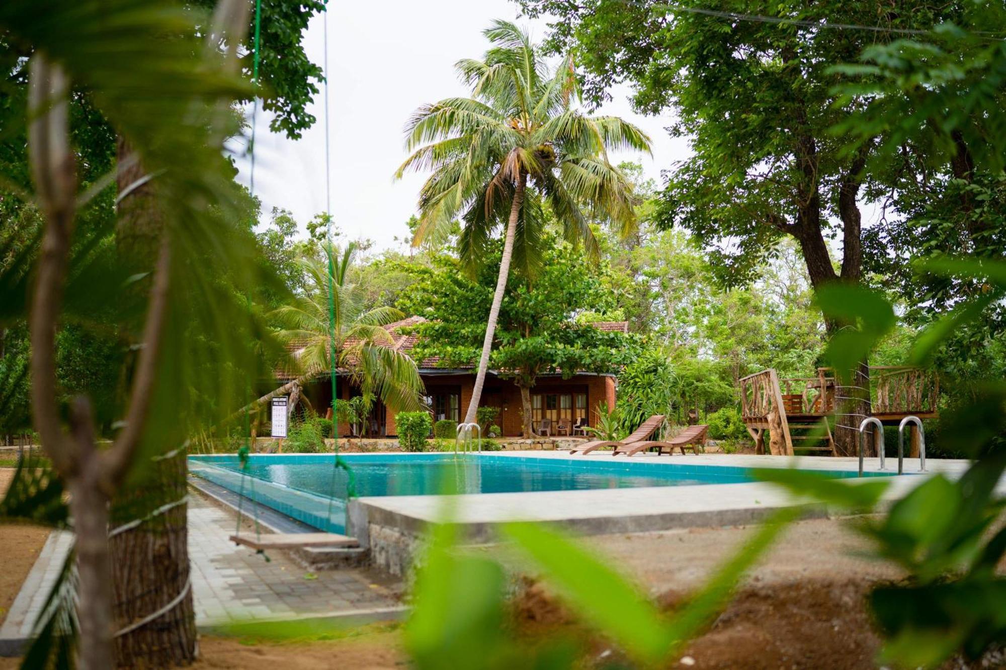Sigiriya Cottage Eksteriør bilde