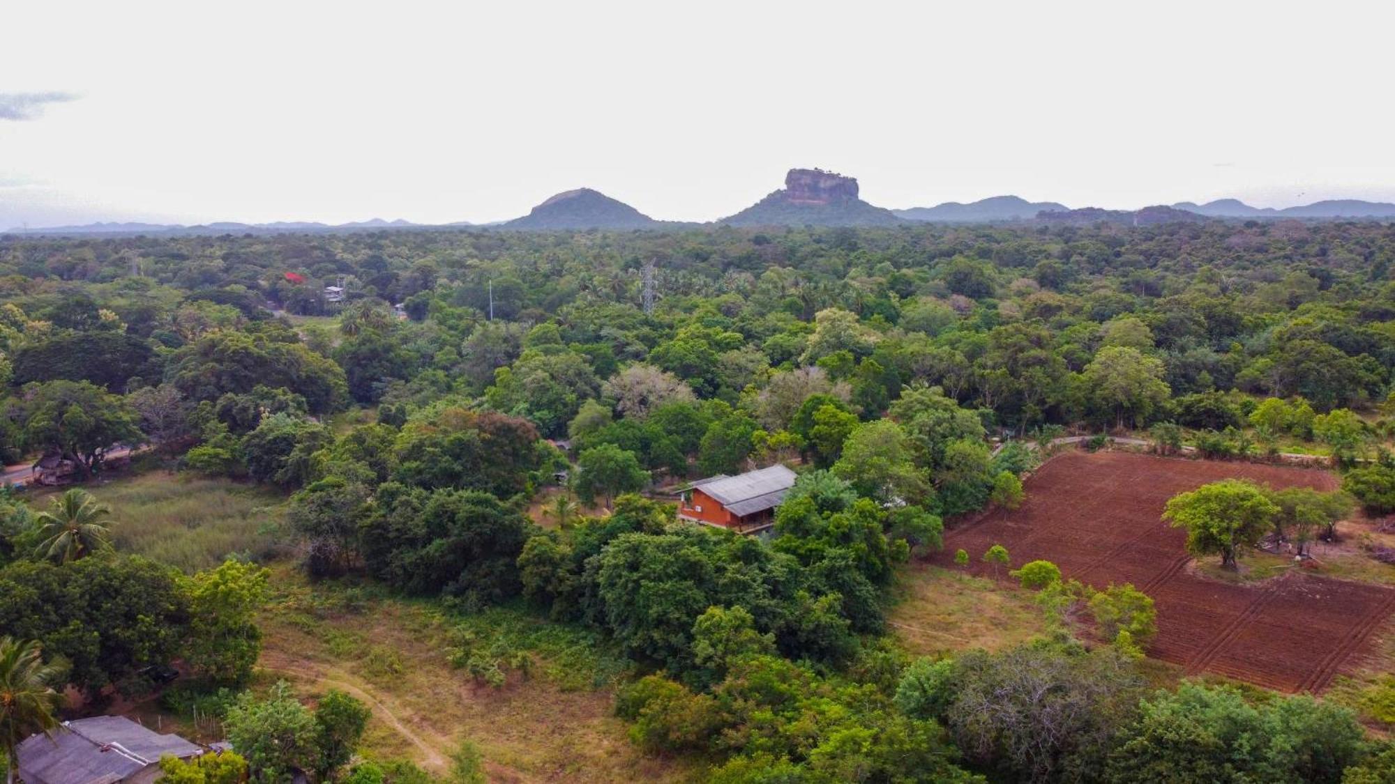 Sigiriya Cottage Eksteriør bilde